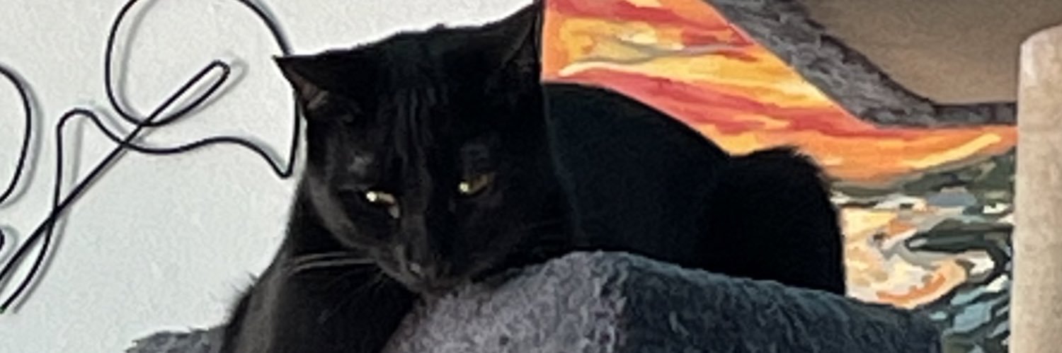 Smeo's profile banner image