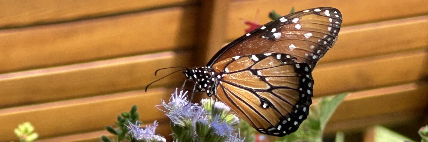 hoefarmer's profile banner image