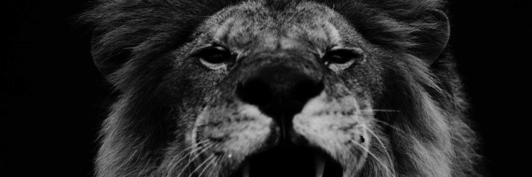 danielandreani's profile banner image