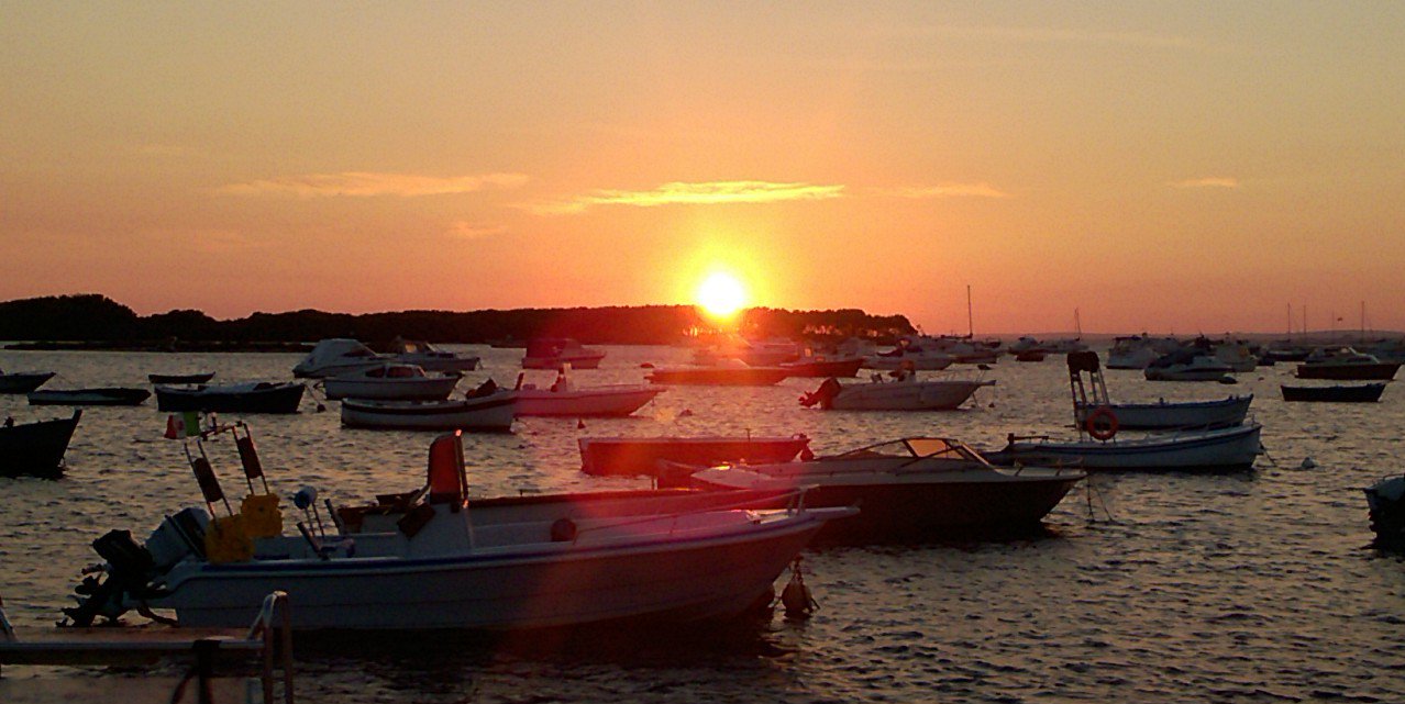 Dario89er's profile banner image