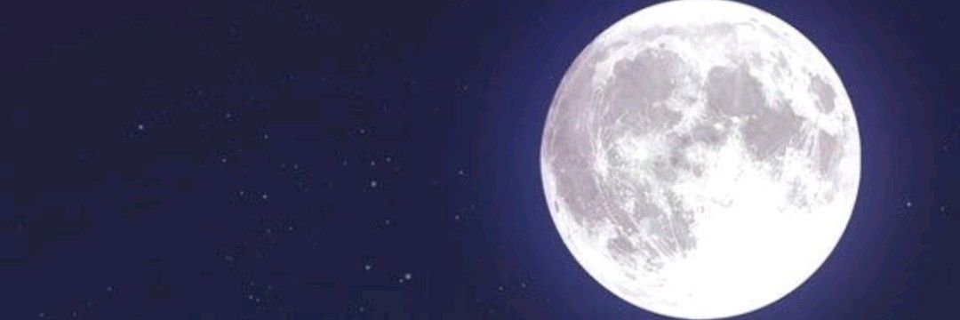 ertrina's profile banner image