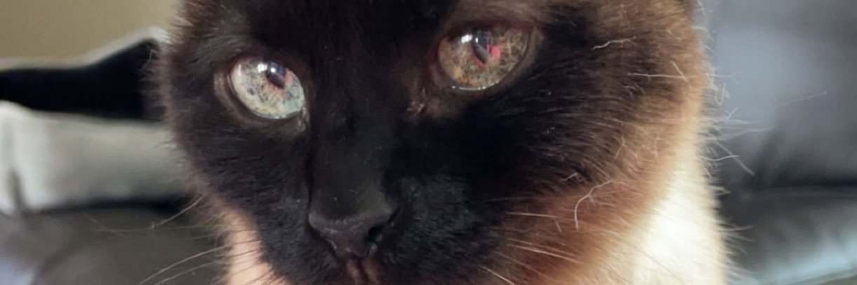BlantonSteve's profile banner image