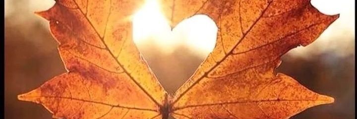 marcelamarchet3's profile banner image