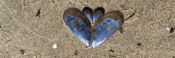 NotYourRagdoll Profile Banner