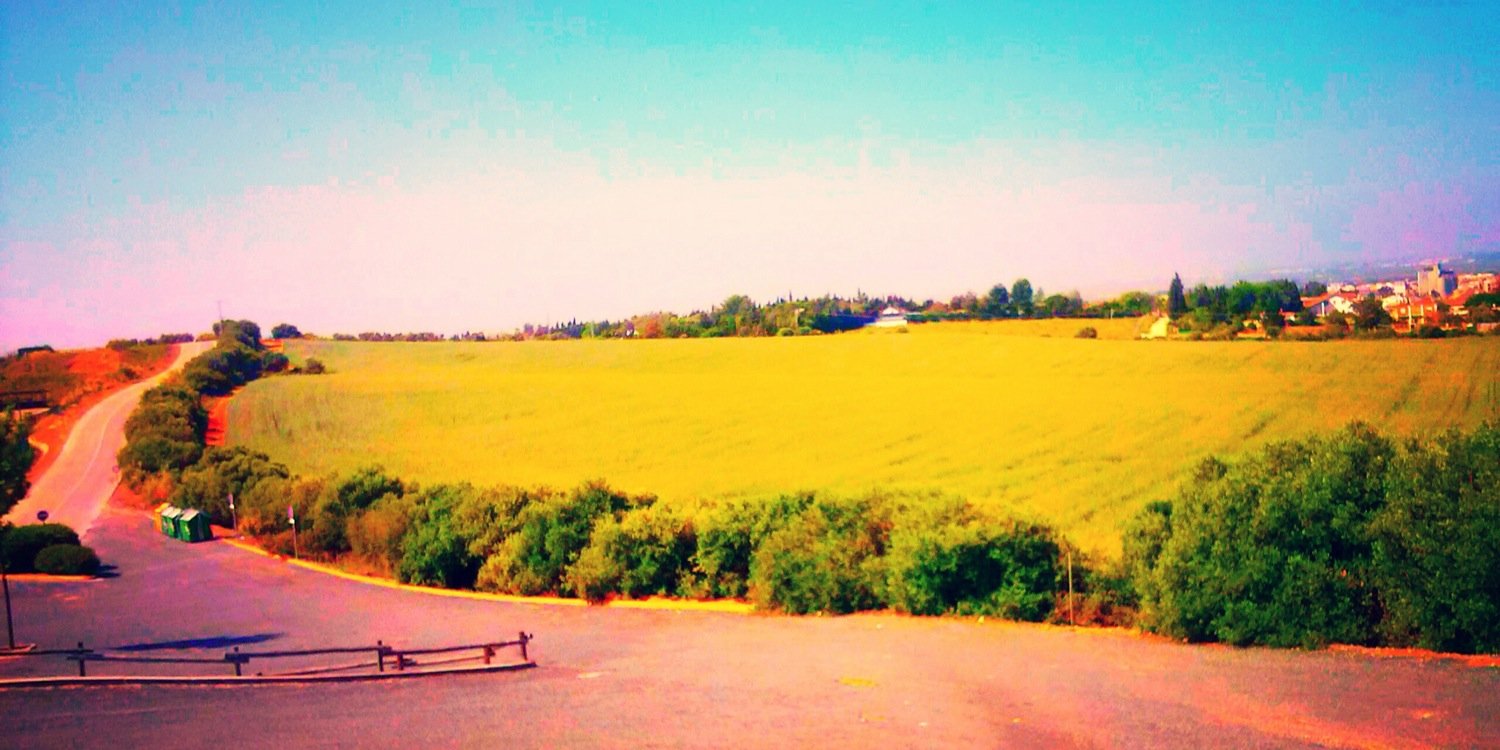veromas91's profile banner image