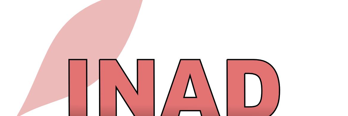 inad_info's profile banner image