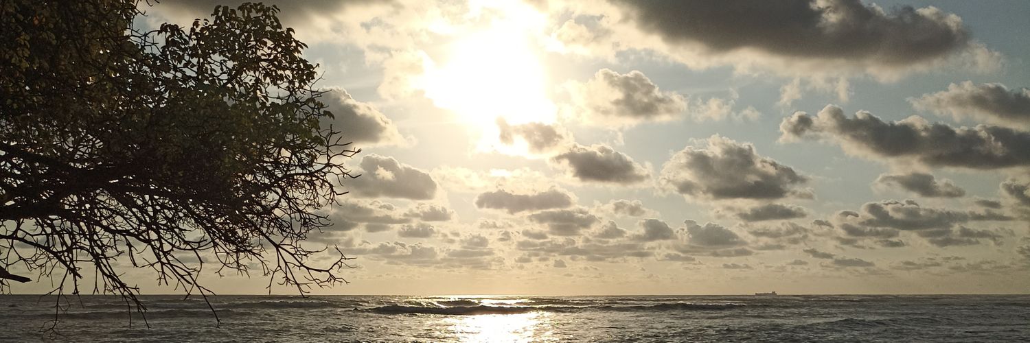 portillo889's profile banner image