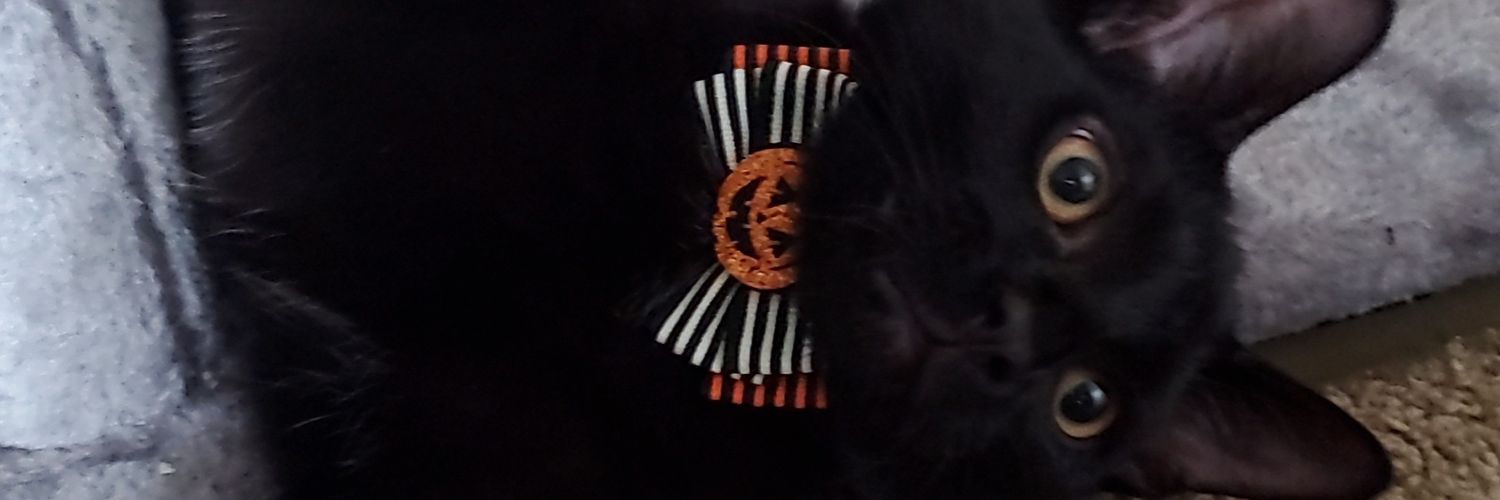 LITtuce_'s profile banner image