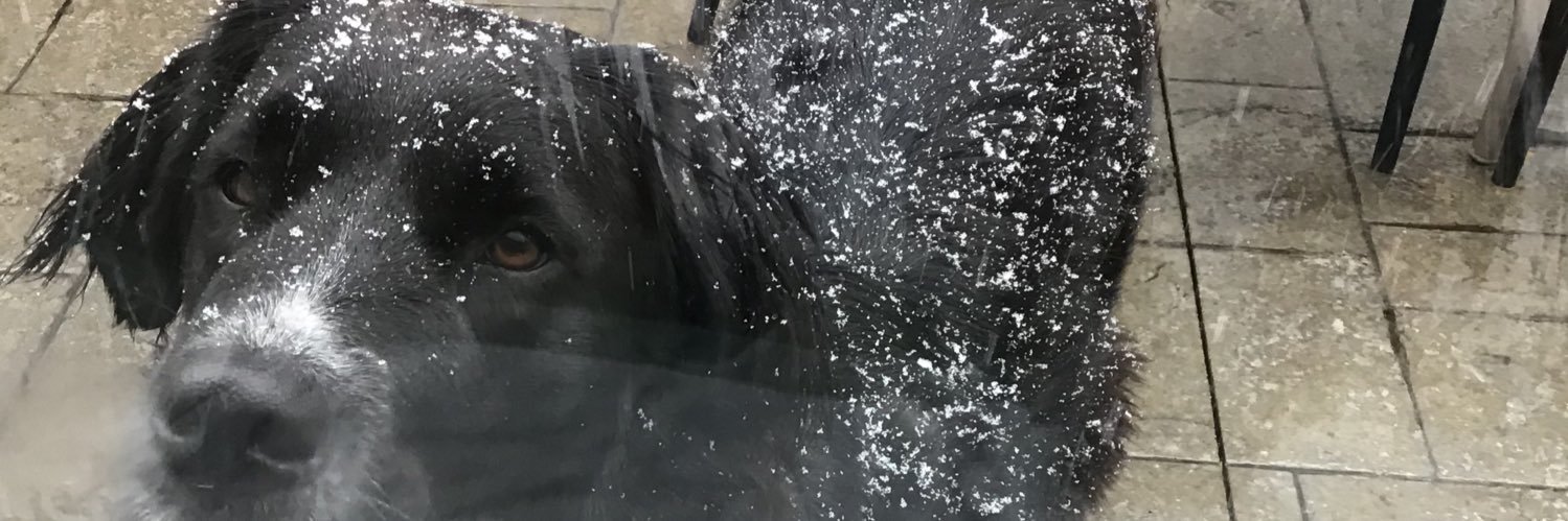 JakeGuerrieri's profile banner image