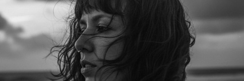 Vênus and The Bad Seeds banner