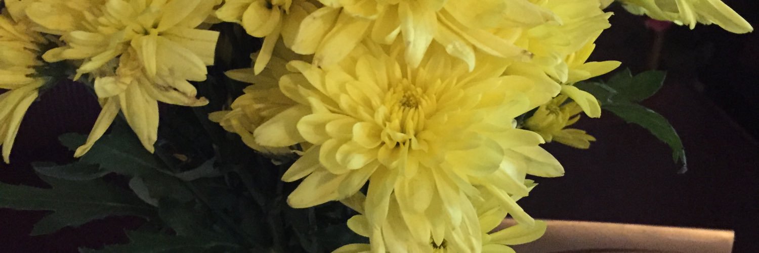 jacque3162's profile banner image