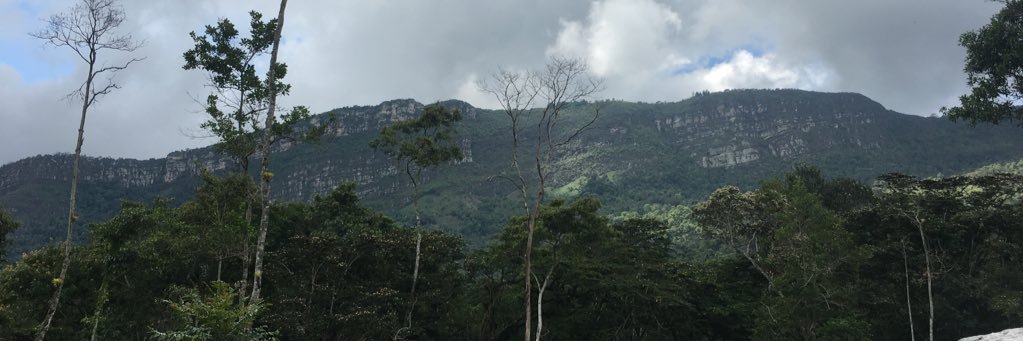 maryjackmo's profile banner image