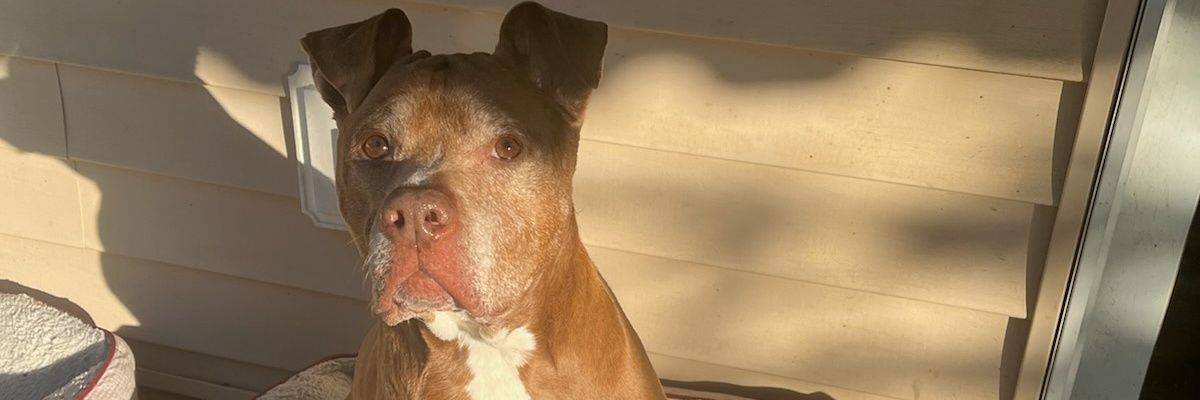 JSPOOLZ's profile banner image