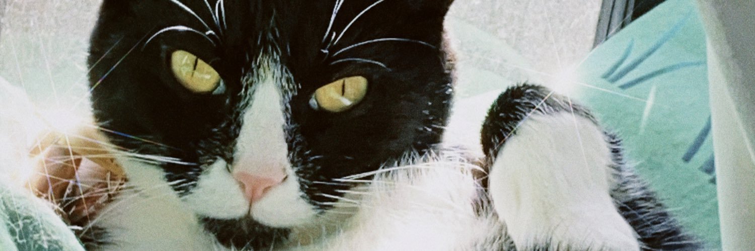 ratblossom's profile banner image
