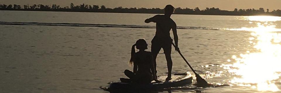 anapaulablanc2's profile banner image