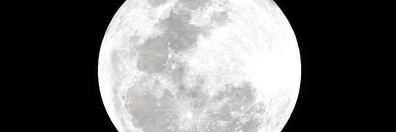 eClaireBishop's profile banner image