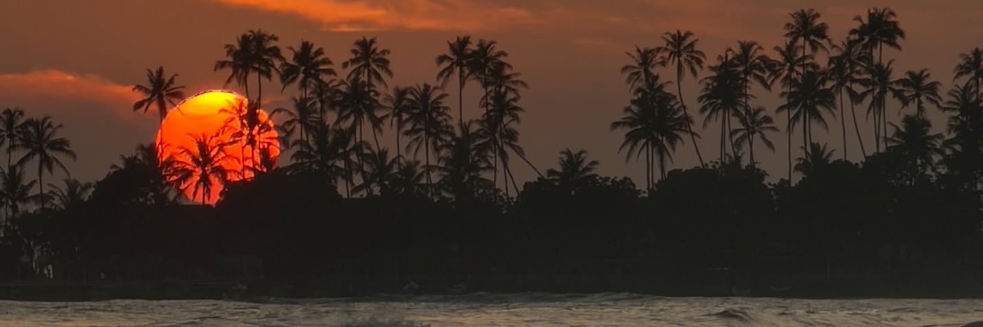 frankesroman's profile banner image