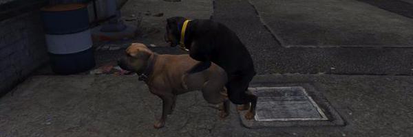 Jornachekk Profile Banner