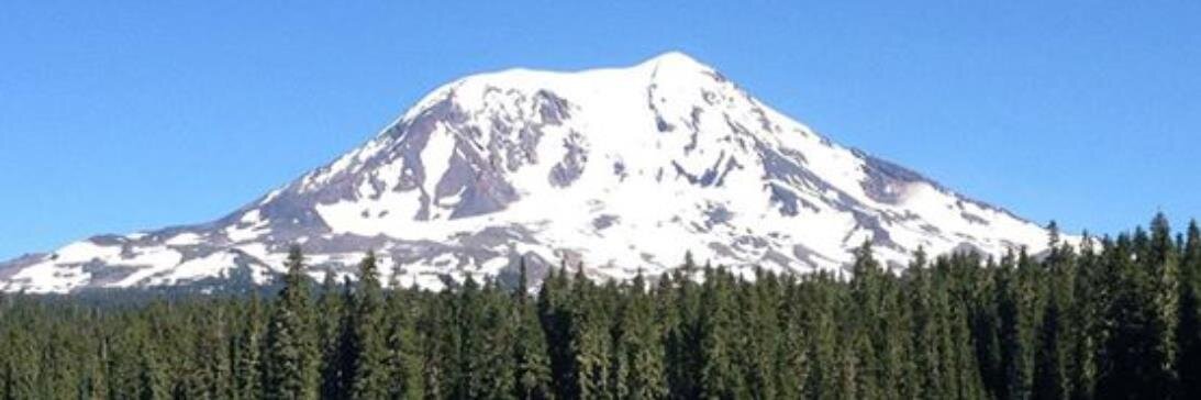 Shena Mouring banner