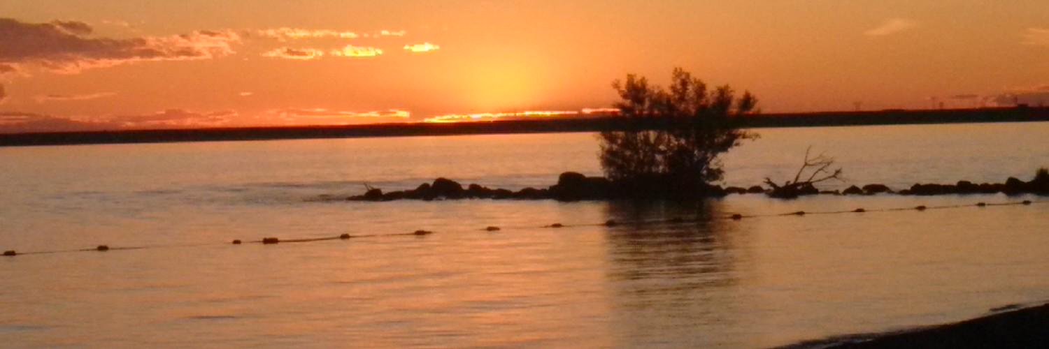 indigofire77's profile banner image
