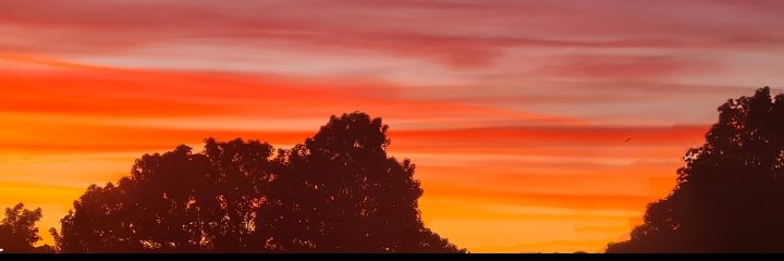 LuEDoty's profile banner image