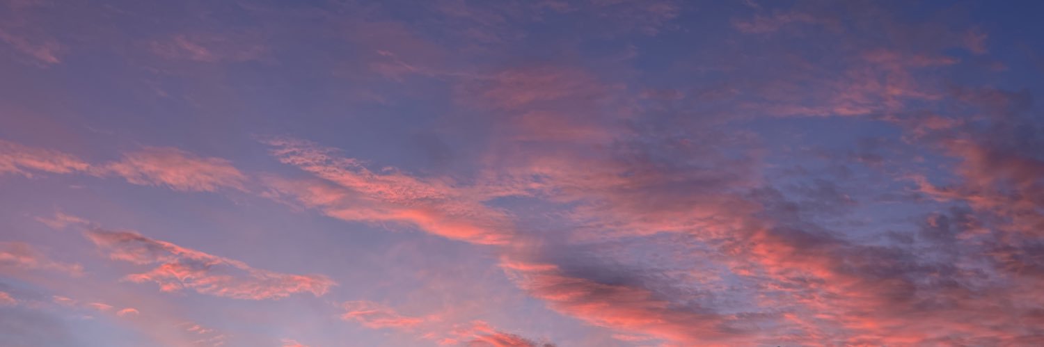 ciarazizzo's profile banner image
