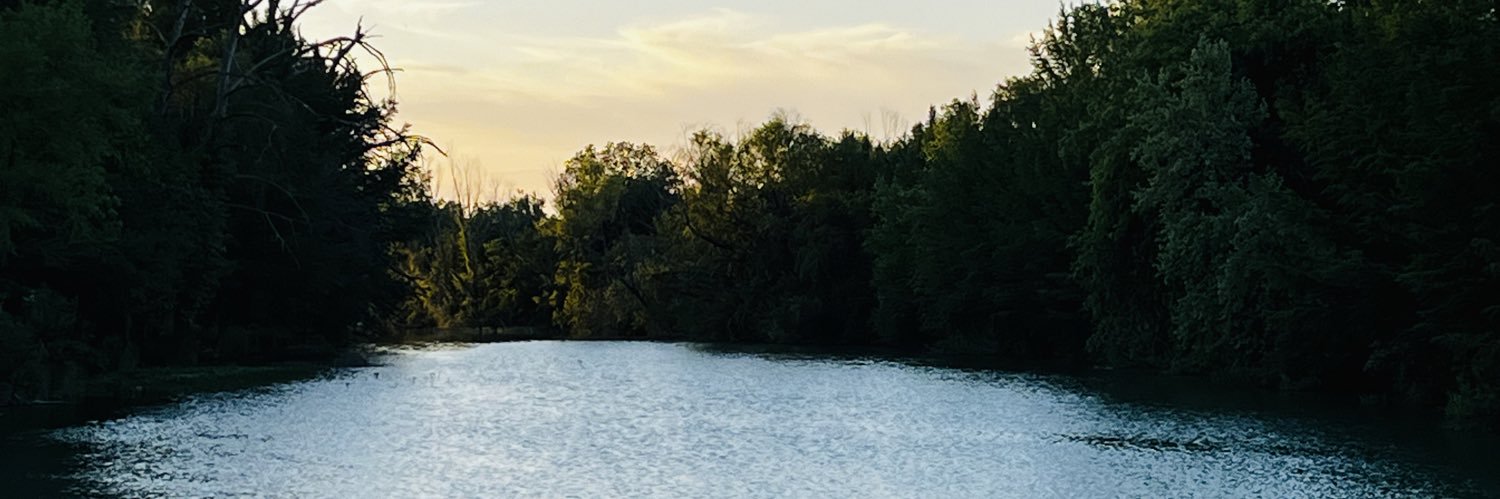 ALuna_031's profile banner image