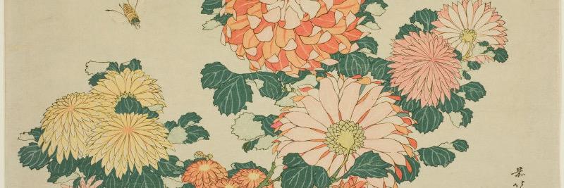alisonjanecarr's profile banner image