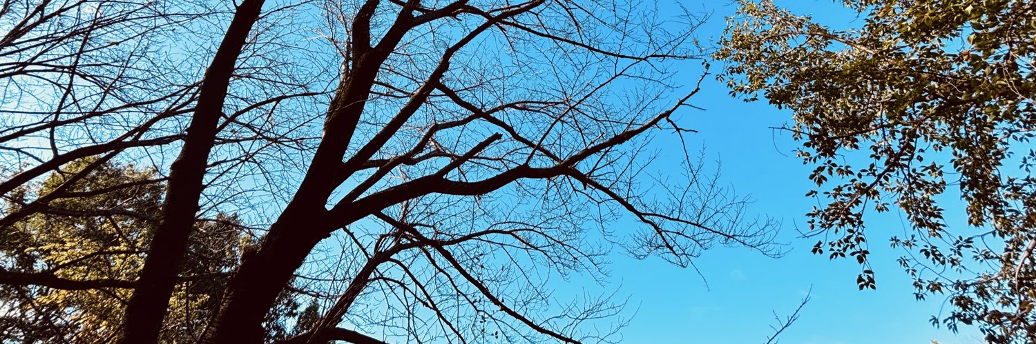 yc_n's profile banner image