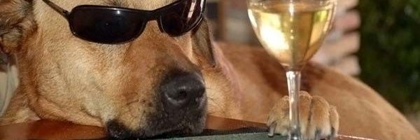 wastedmota's profile banner image