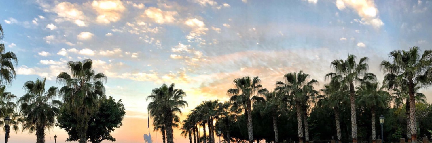 aysegulerdogms's profile banner image