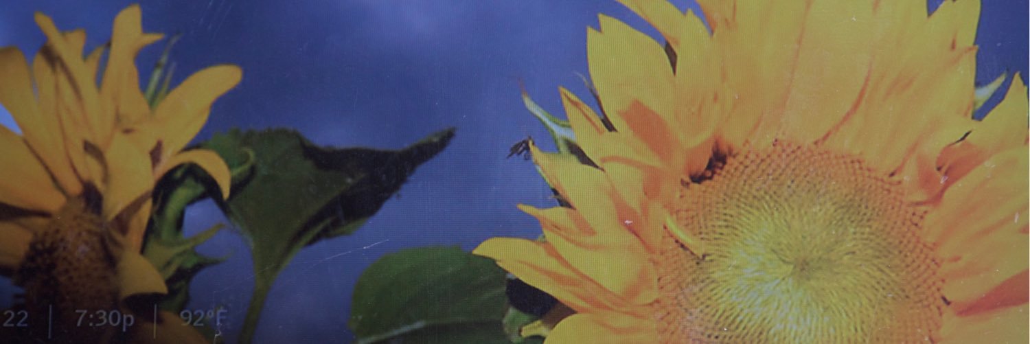 SEricksonRN's profile banner image