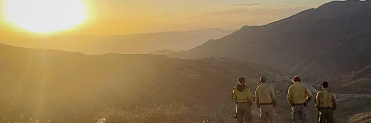 paytonanderman's profile banner image