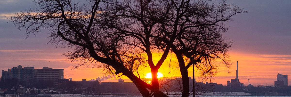 EyesOnWindsor's profile banner image