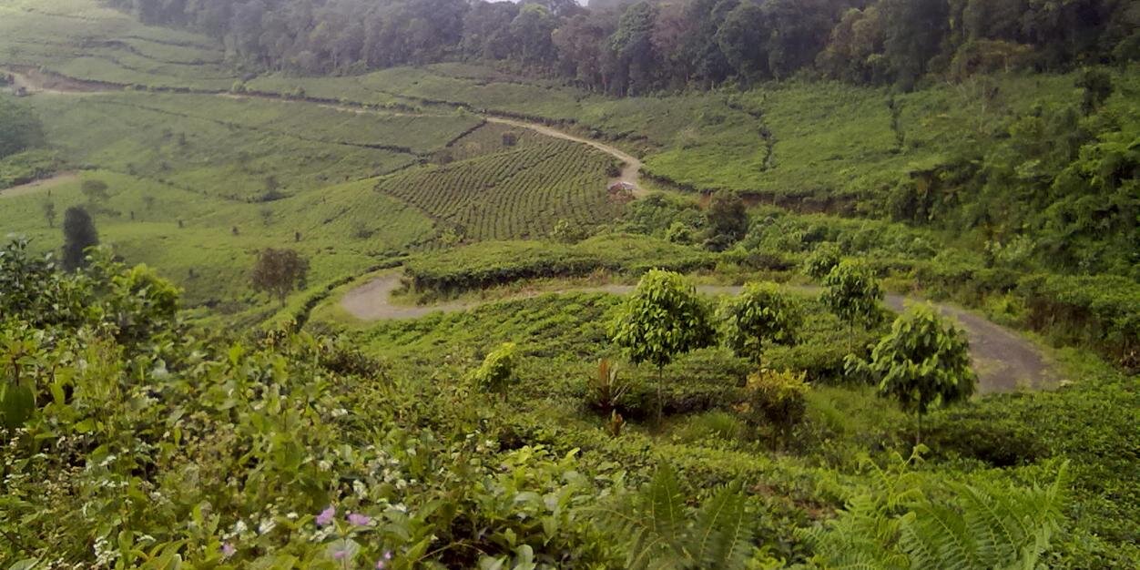 sumedangsharing's profile banner image