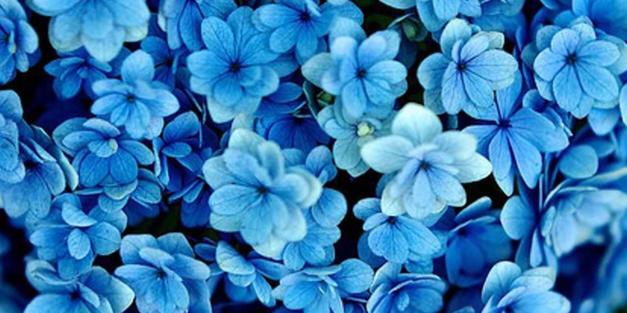 kaitcogan's profile banner image