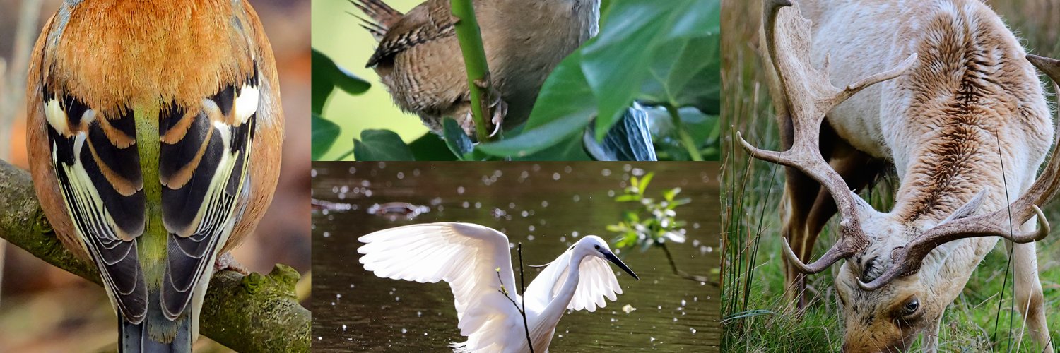 South West Optics banner