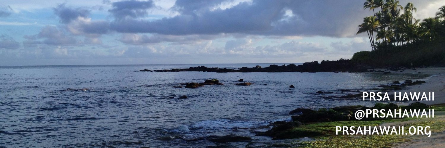 PRSAHawaii's profile banner image
