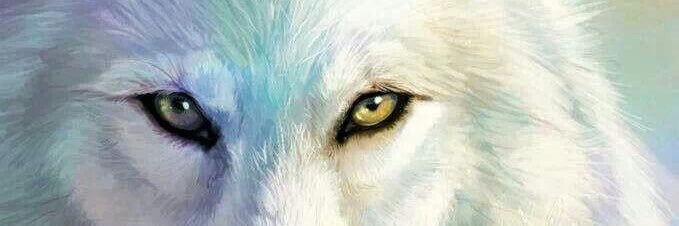 shewolf098's profile banner image