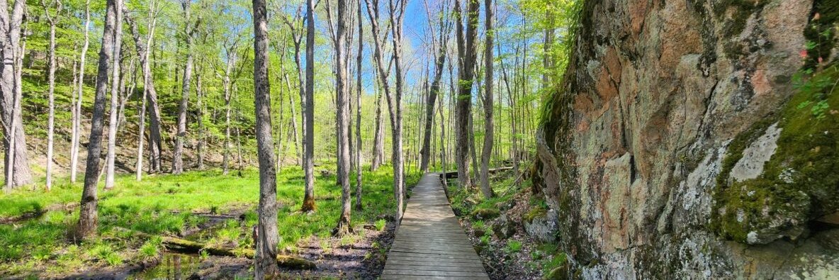 Frontenac Provincial Park banner