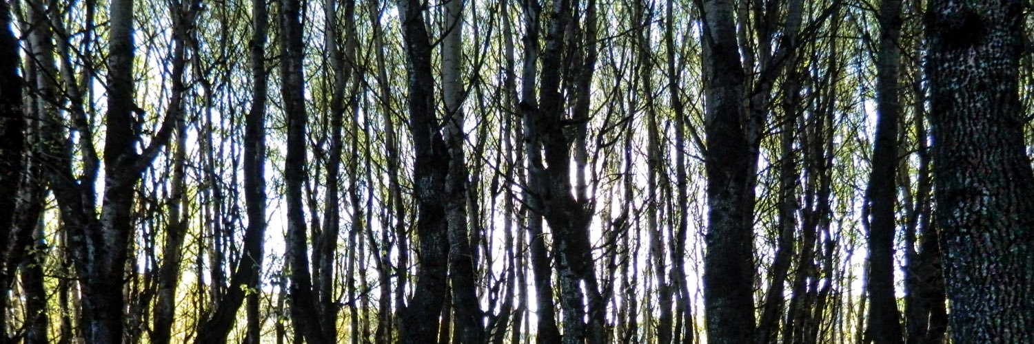 LA_CruzMusic's profile banner image