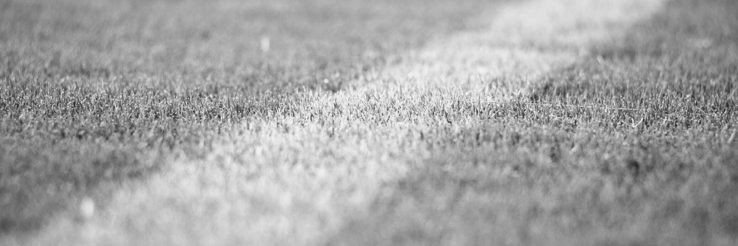 SynergySportsUK's profile banner image