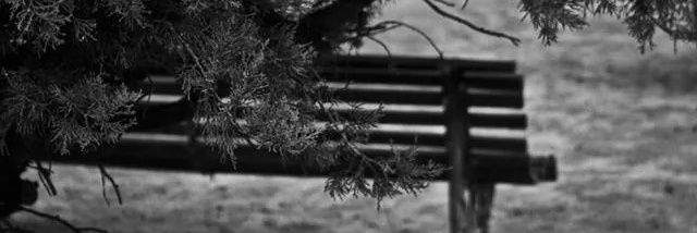 FlorDitBonjour's profile banner image