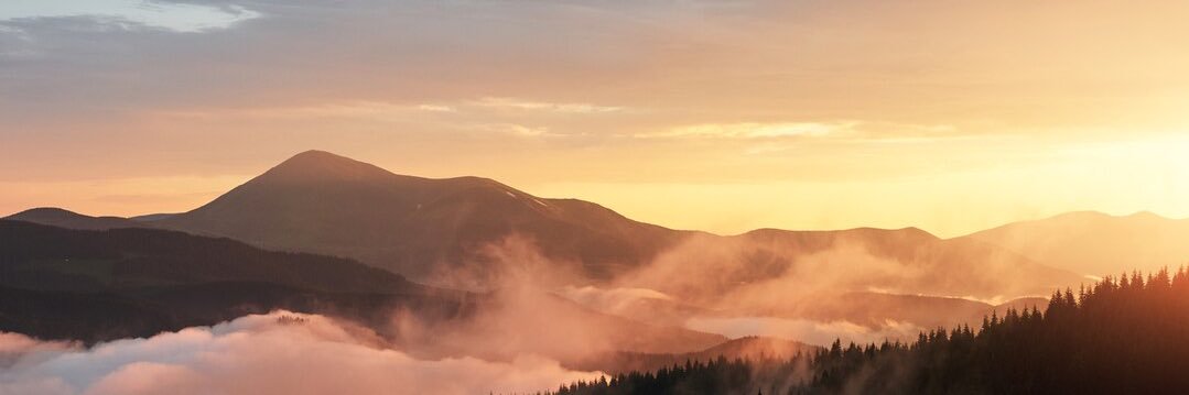 mountainmonkey banner