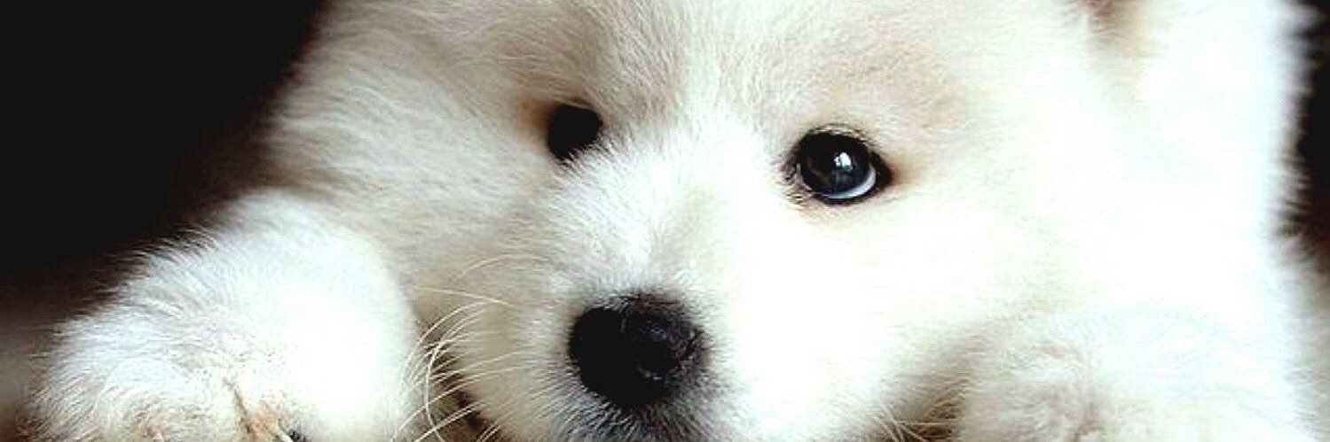 AmandaCherryy's profile banner image