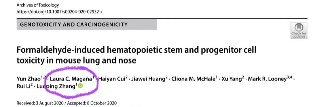 Laura Cristal Magaña Mendoza banner