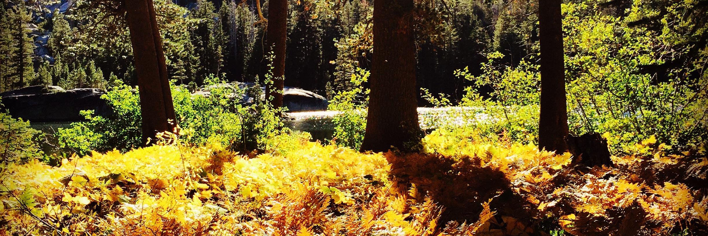 JennyG_24's profile banner image