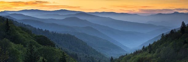 Aaron Dy, PhD 👨🏻‍🔬🏃🏻‍♂️ banner