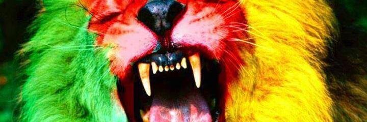 EricAngouand's profile banner image