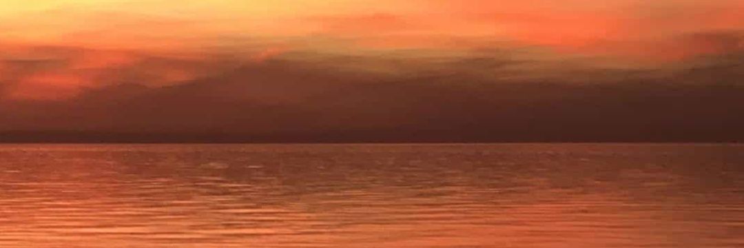 areiee11's profile banner image